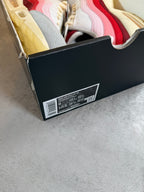 Air Max 95 Anatomy of Air UK 8
