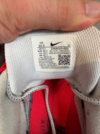 Air Max 95 Greedy 3.0 UK 9.5
