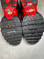 Nike Air Max Plus TN ‘Hates’ UK 11