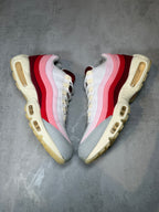 Air Max 95 Anatomy of Air UK 10
