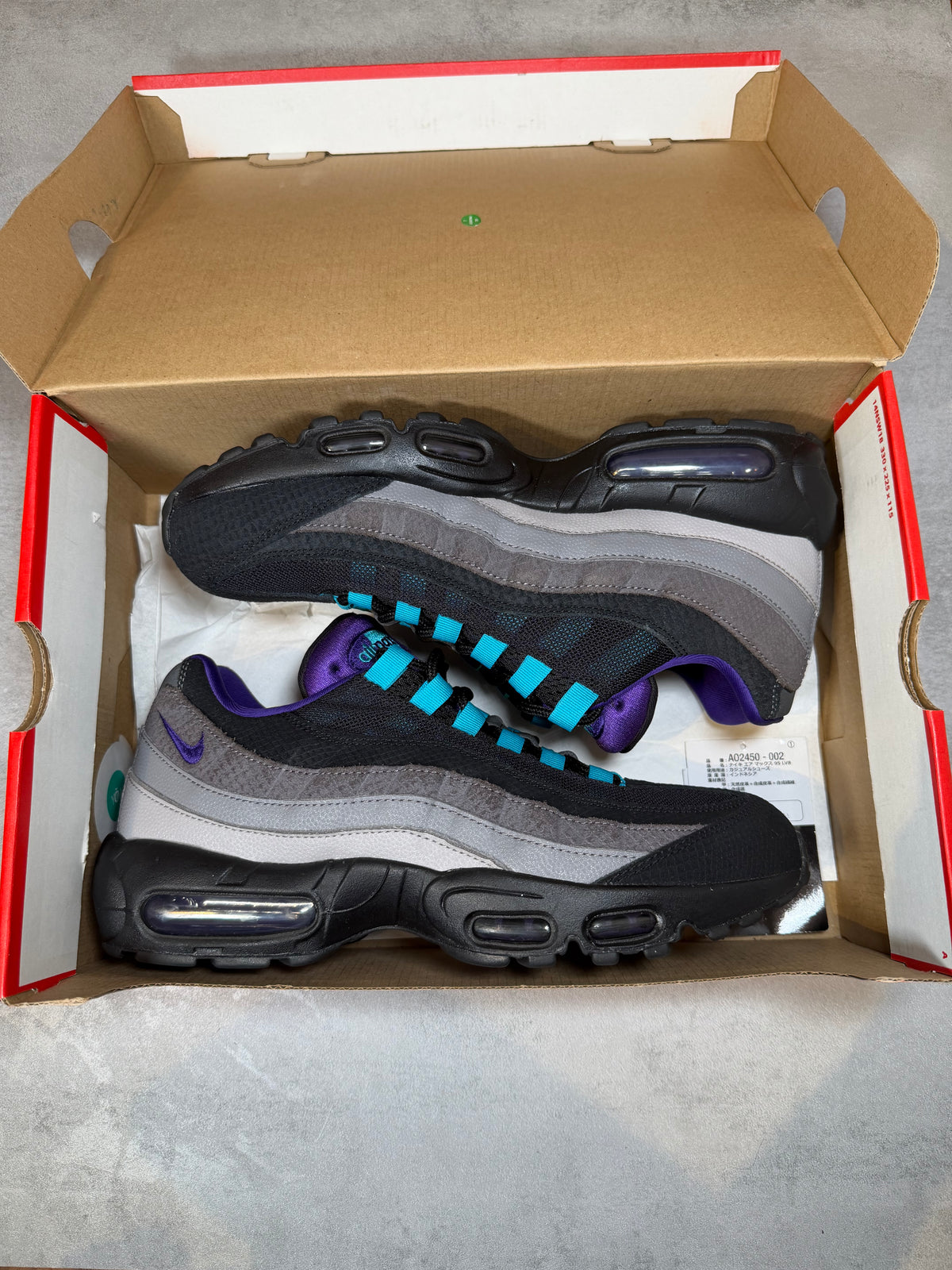 Air Max 95 Black Grape UK 8.5